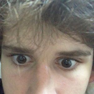 Meet your Posher, Niko